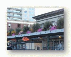 GardenAboveShops