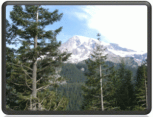 Mt. Rainer